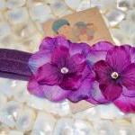 Orchid Purple Double Dainty..