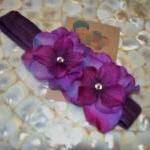 Orchid Purple Double Dainty..