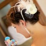 Bridal Haircomb, Crystal Ha..
