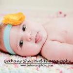 Golden Yellow Baby Flower H..