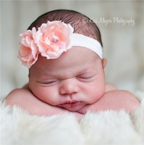 Headband, Flower Headband, Pink Rose Flower Heandband, Pink Heandband with crystals